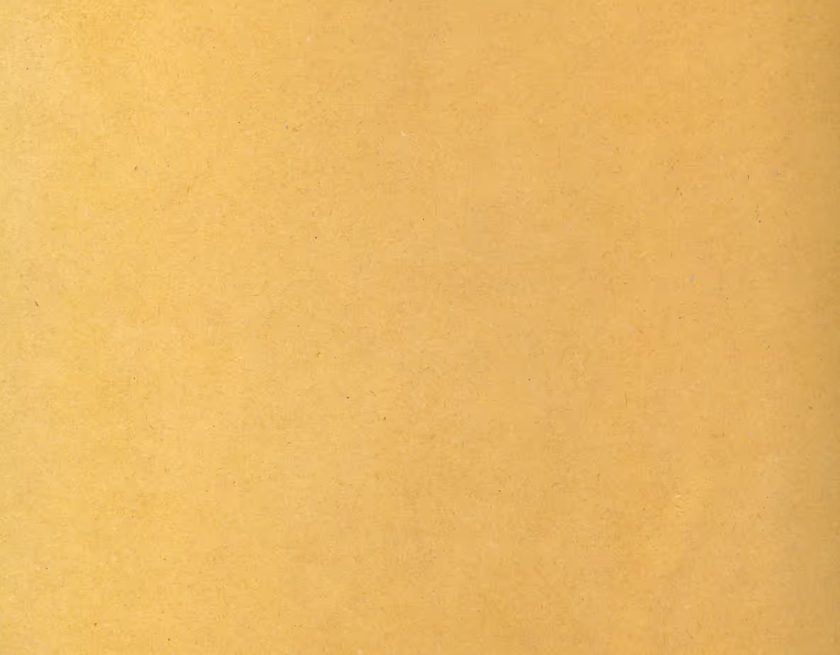 l'un des matériaux utilisés par Oulice pour créer des agencements sur-mesure à Lyon.