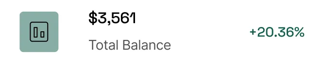 Balance Report