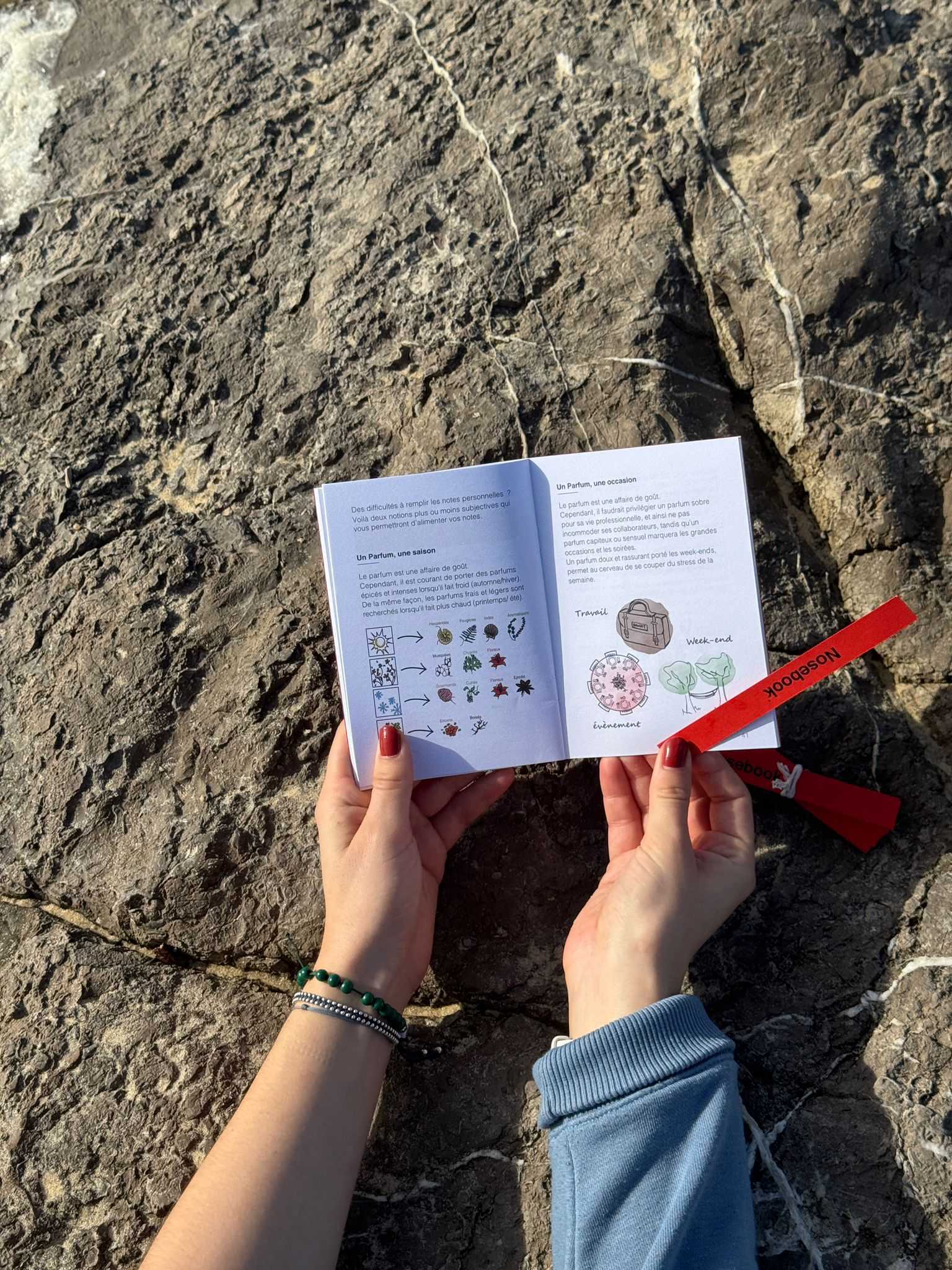 Deux mains tenant un carnet parlant de saison et d'occasion pour un parfum sur un fond de roche. La main de droite tient une touche rouge, Nosebook. 