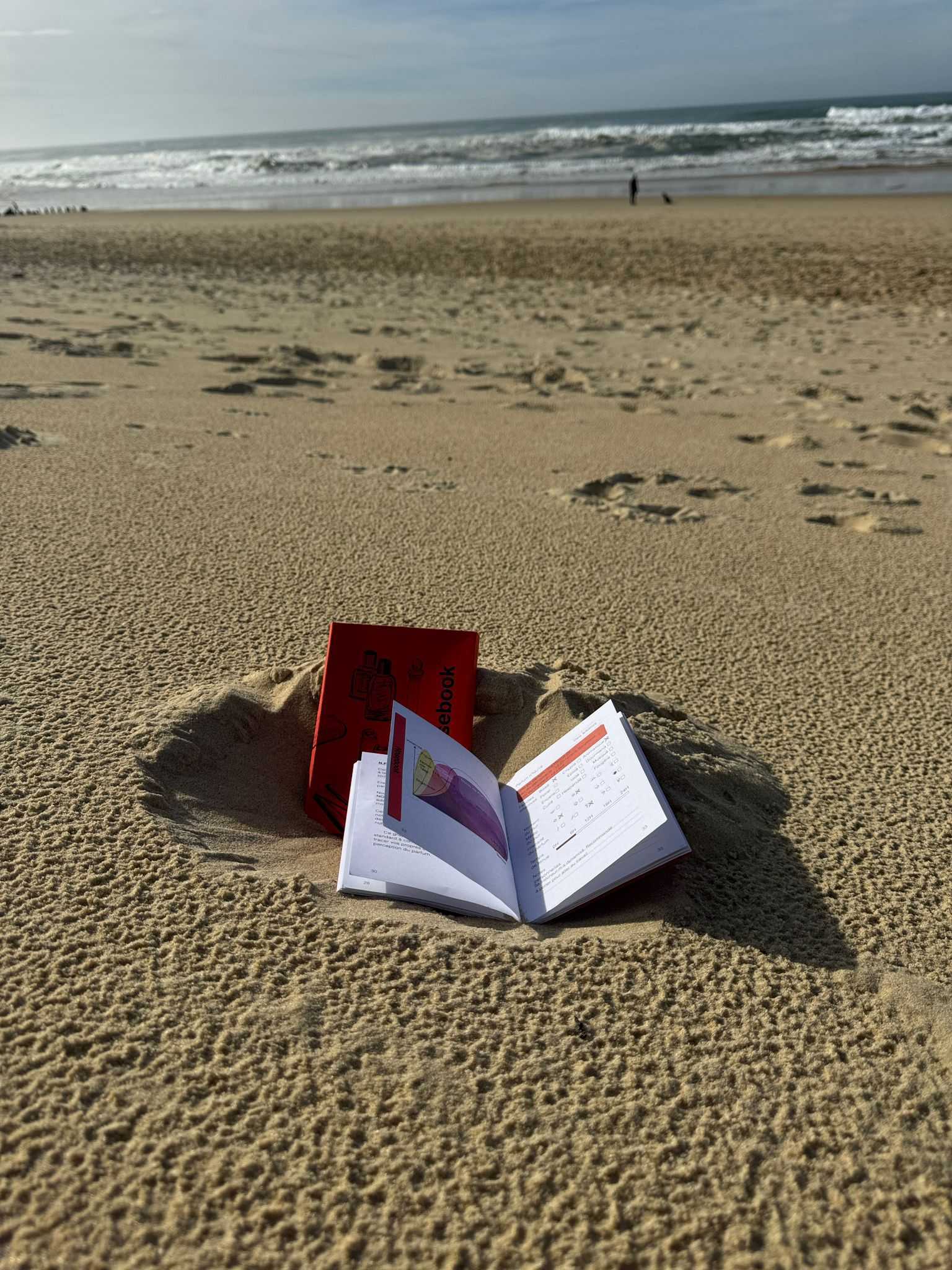 Un coffret rouge et un carnet  ouvert posés dans un creux de sable sur une plage avec l'océan en arrière-plan.
