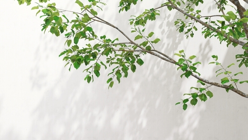 Sustainable Concrete Climate Earth