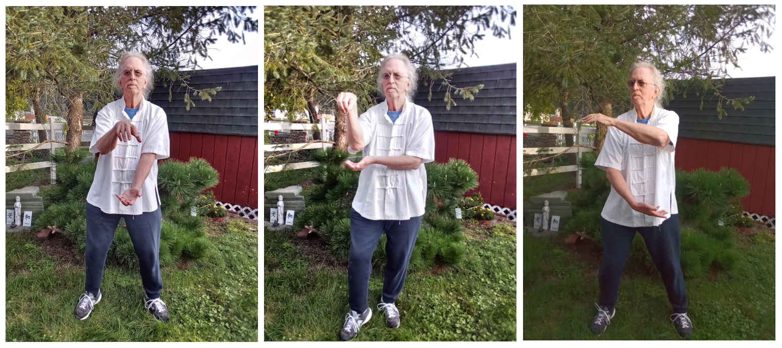 Jim Birt in various taiji postures