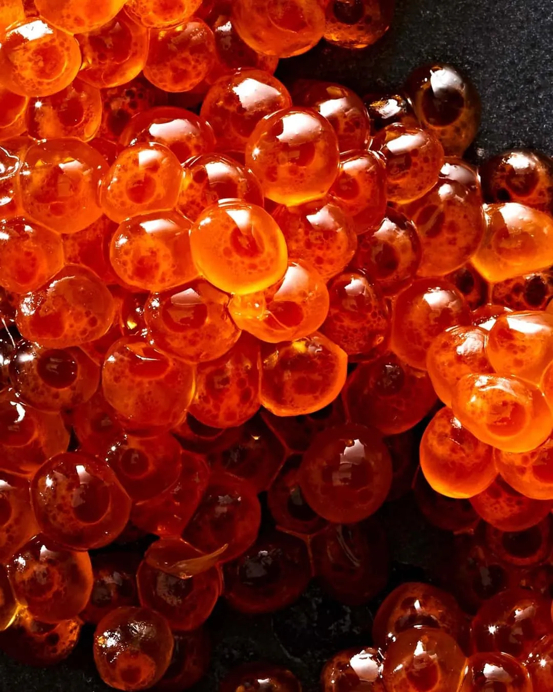 Polished and creative food photography, shot by a Toronto-based photographer, designed to highlight the natural beauty and delicious appeal of food, perfect for commercial campaigns