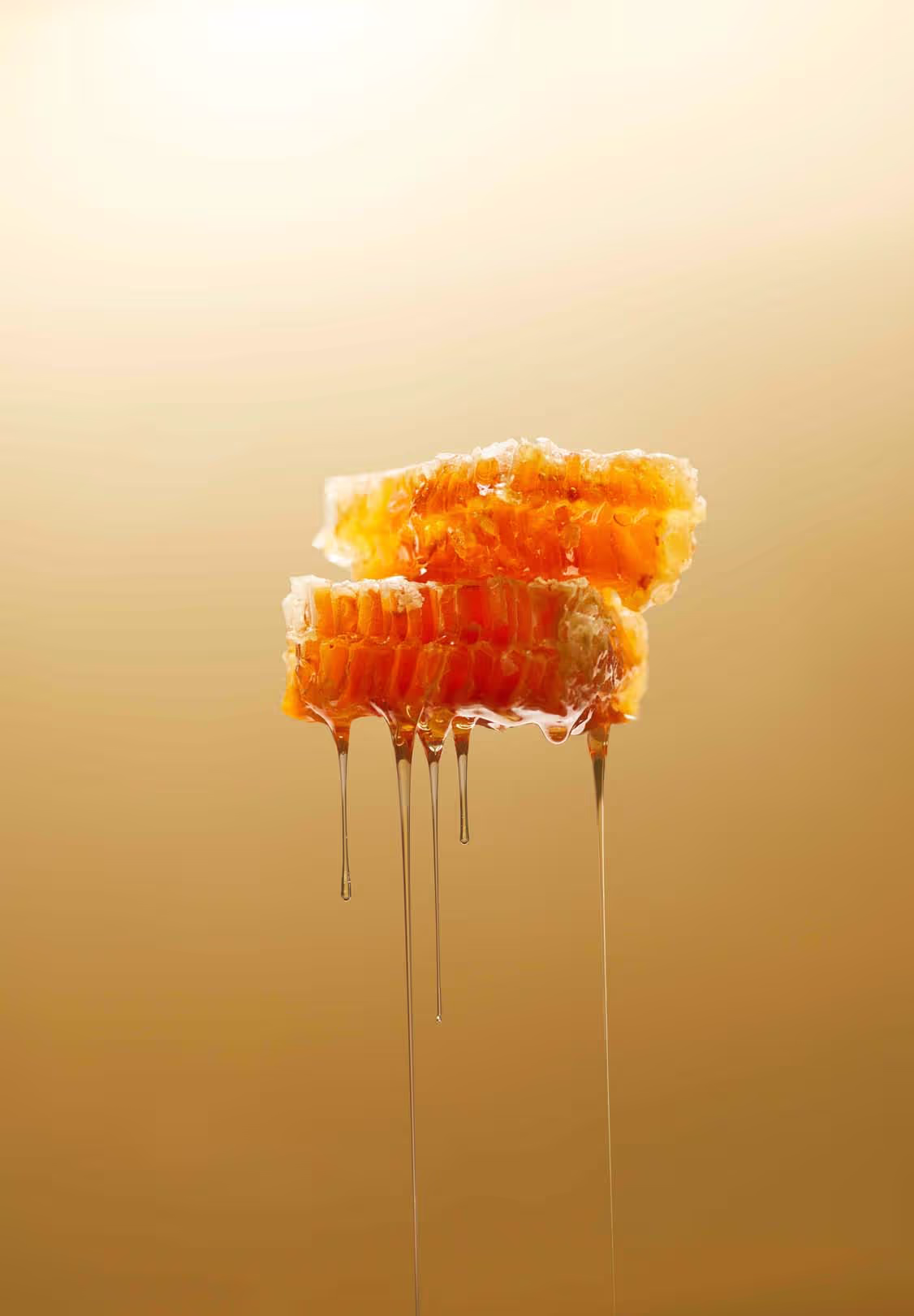 Polished and creative food photography, shot by a Toronto-based photographer, designed to highlight the natural beauty and delicious appeal of food, perfect for commercial campaigns