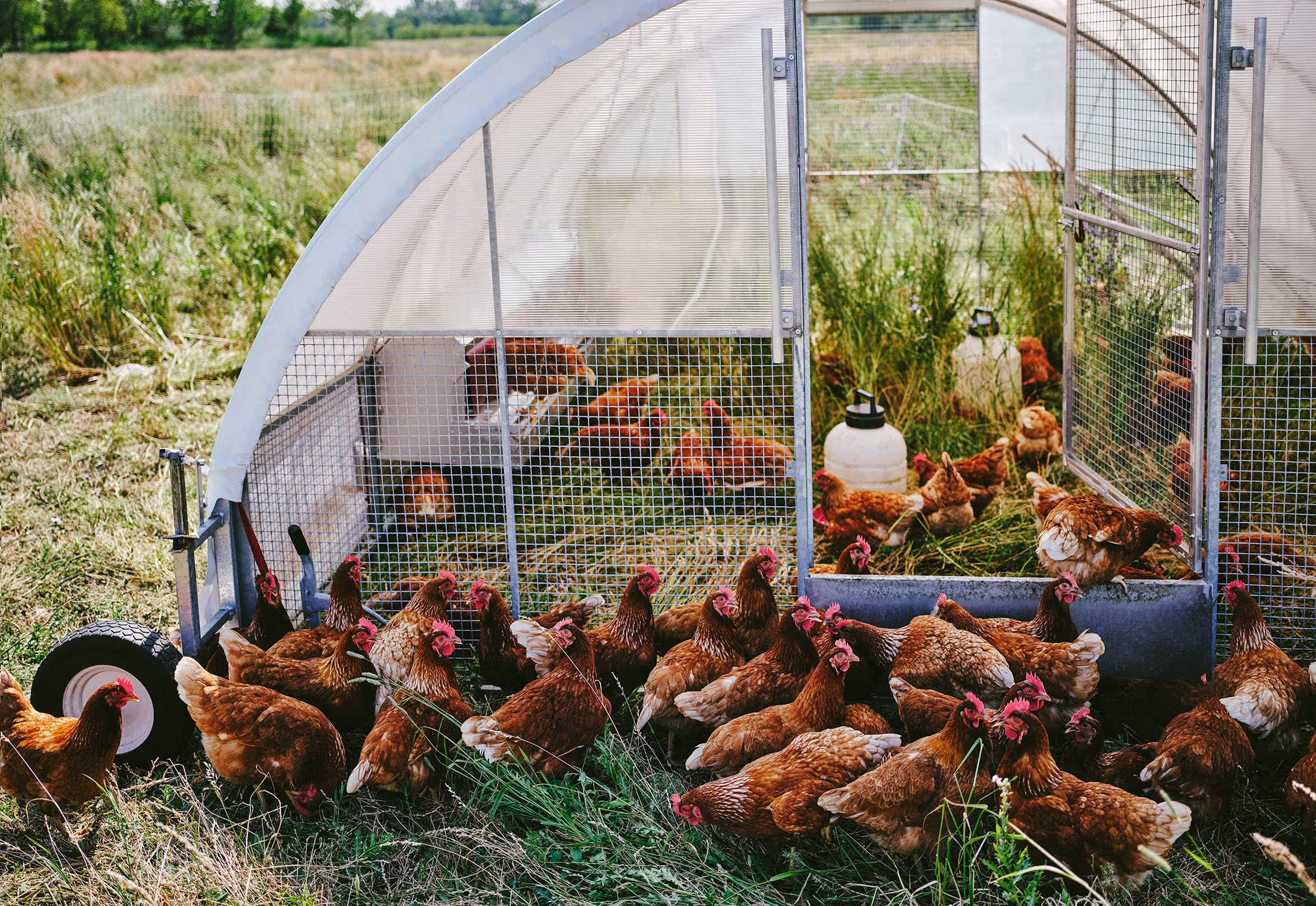 Dynamic and engaging lifestyle photos taken by a commercial photographer, designed to capture authentic moments and showcase your brand’s message through impactful imagery