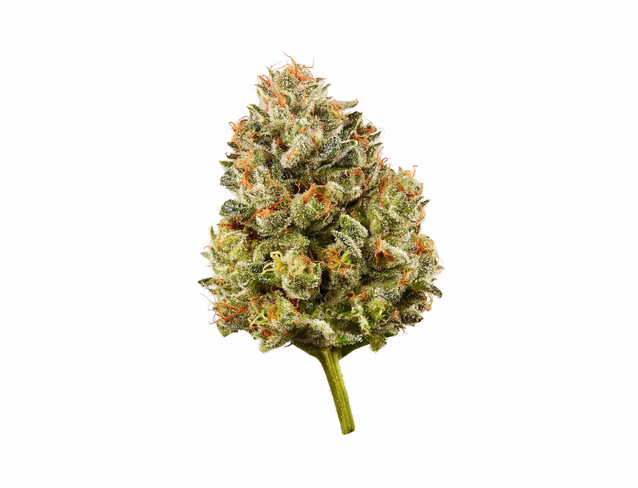 Toronto-based still life photographer specializing in clean, polished imagery that highlights the beauty of everyday objects with creative composition and impeccable style for commercial use