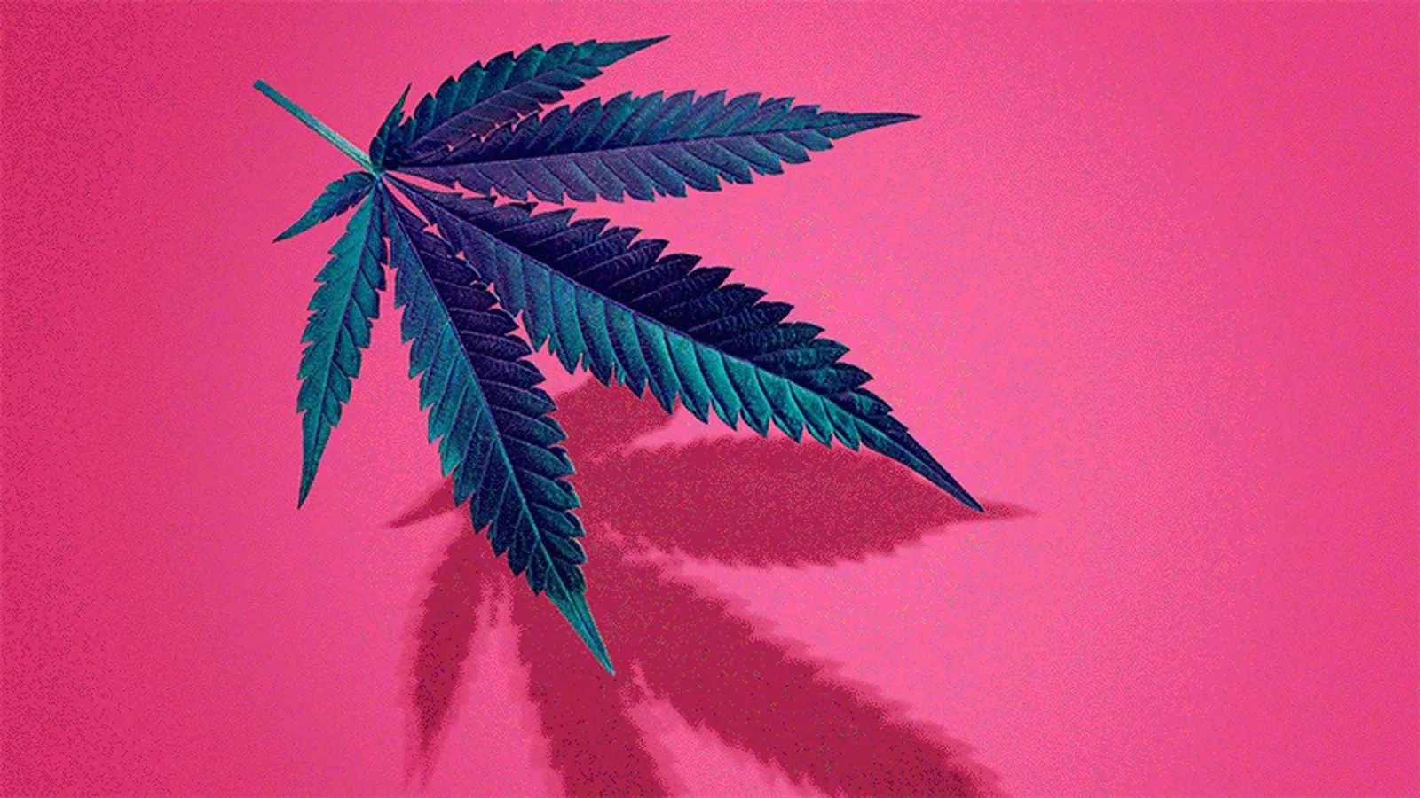 Toronto-based still life photographer specializing in clean, polished imagery that highlights the beauty of everyday objects with creative composition and impeccable style for commercial use