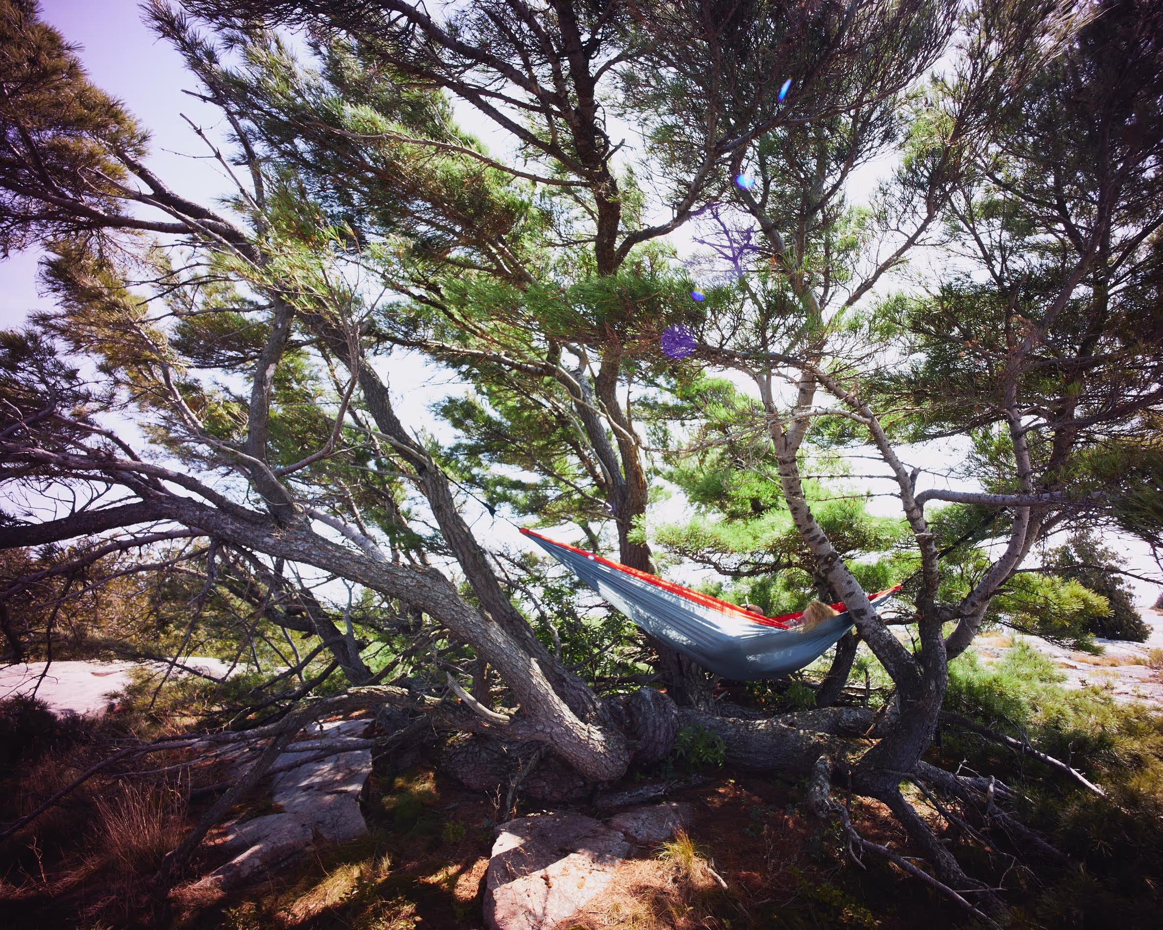 Discover the world through dynamic travel imagery, beautifully shot to highlight the rich colors, textures, and unique moments found in every corner of the globe