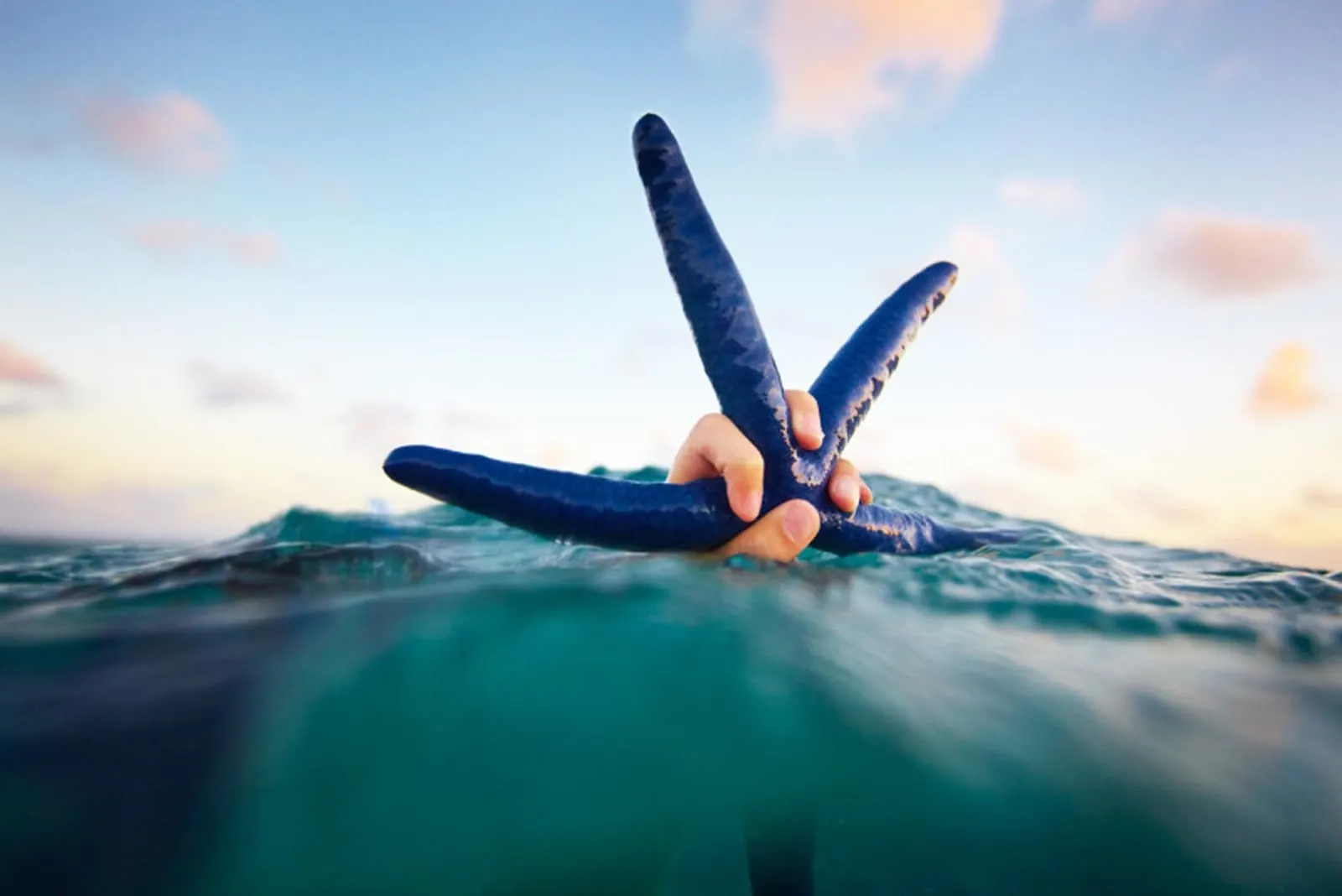 This striking travel image brings exotic locations to life, showcasing the natural beauty, vibrant cultures, and unforgettable experiences that define each destination