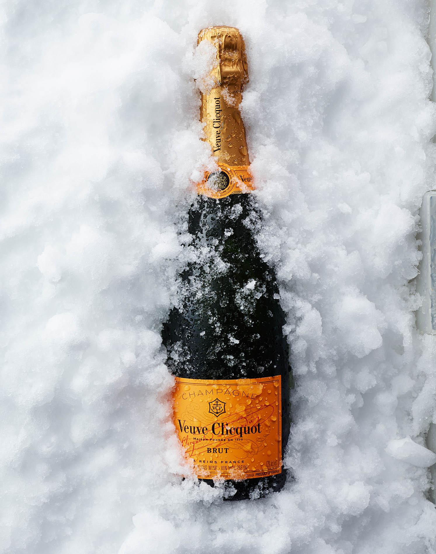 This vibrant drink image highlights the rich tones and refreshing appeal of the beverage, shot with precision to emphasize its textures and movement