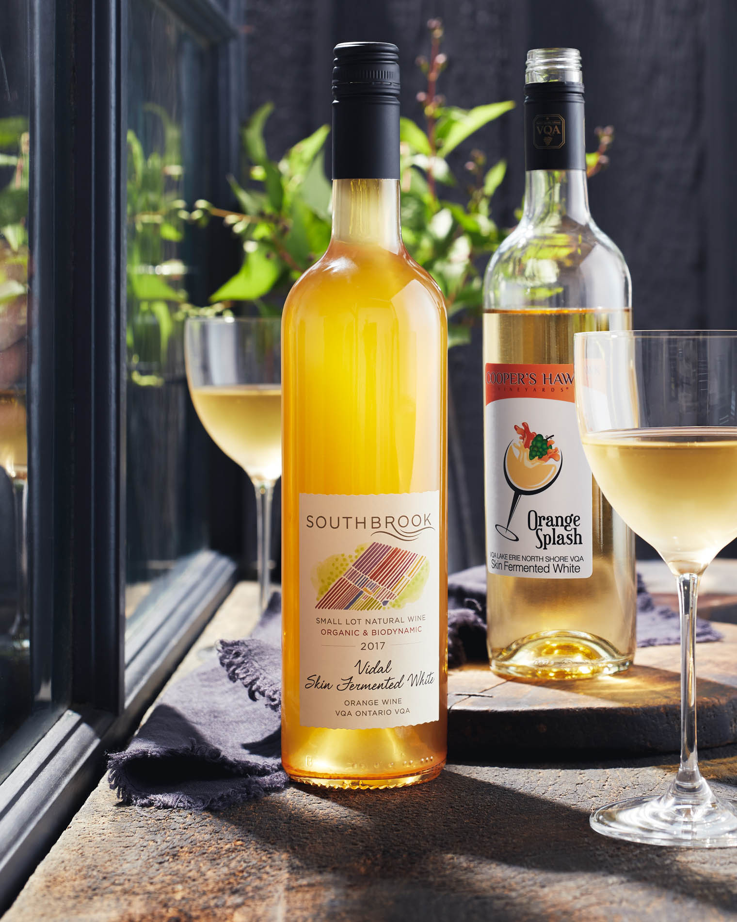 A striking drink photograph that highlights the artistry behind the beverage, expertly lit and composed to capture the refreshing essence of every drop.