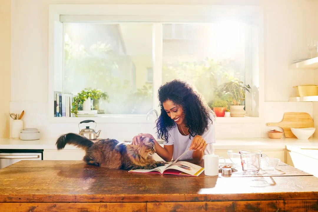 Gorgeous lighting of cat shot by animal photographer