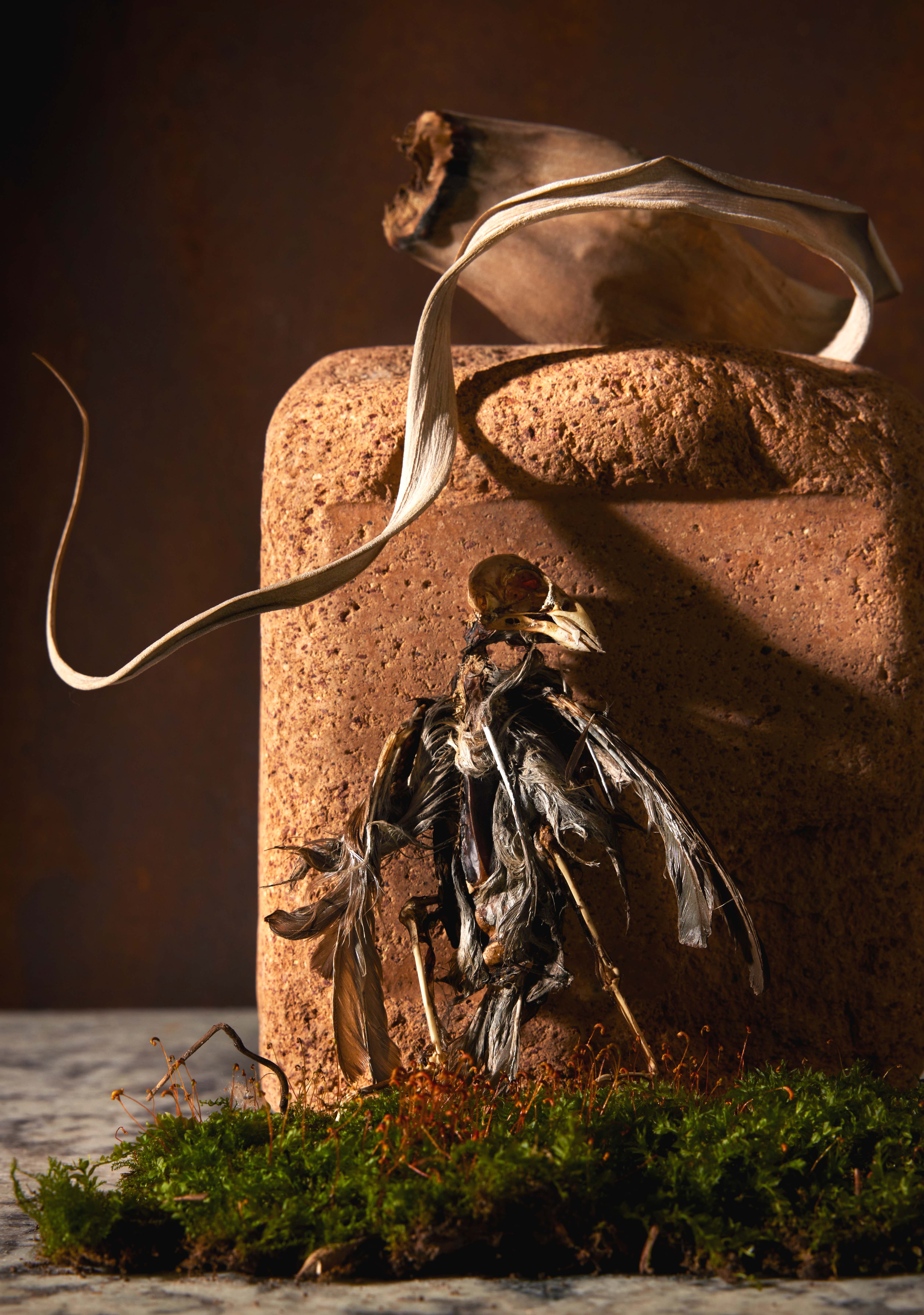 Creative still life photography by a Toronto-based photographer, using imaginative compositions and polished styling to bring abstract ideas and themes to life for commercial advertising