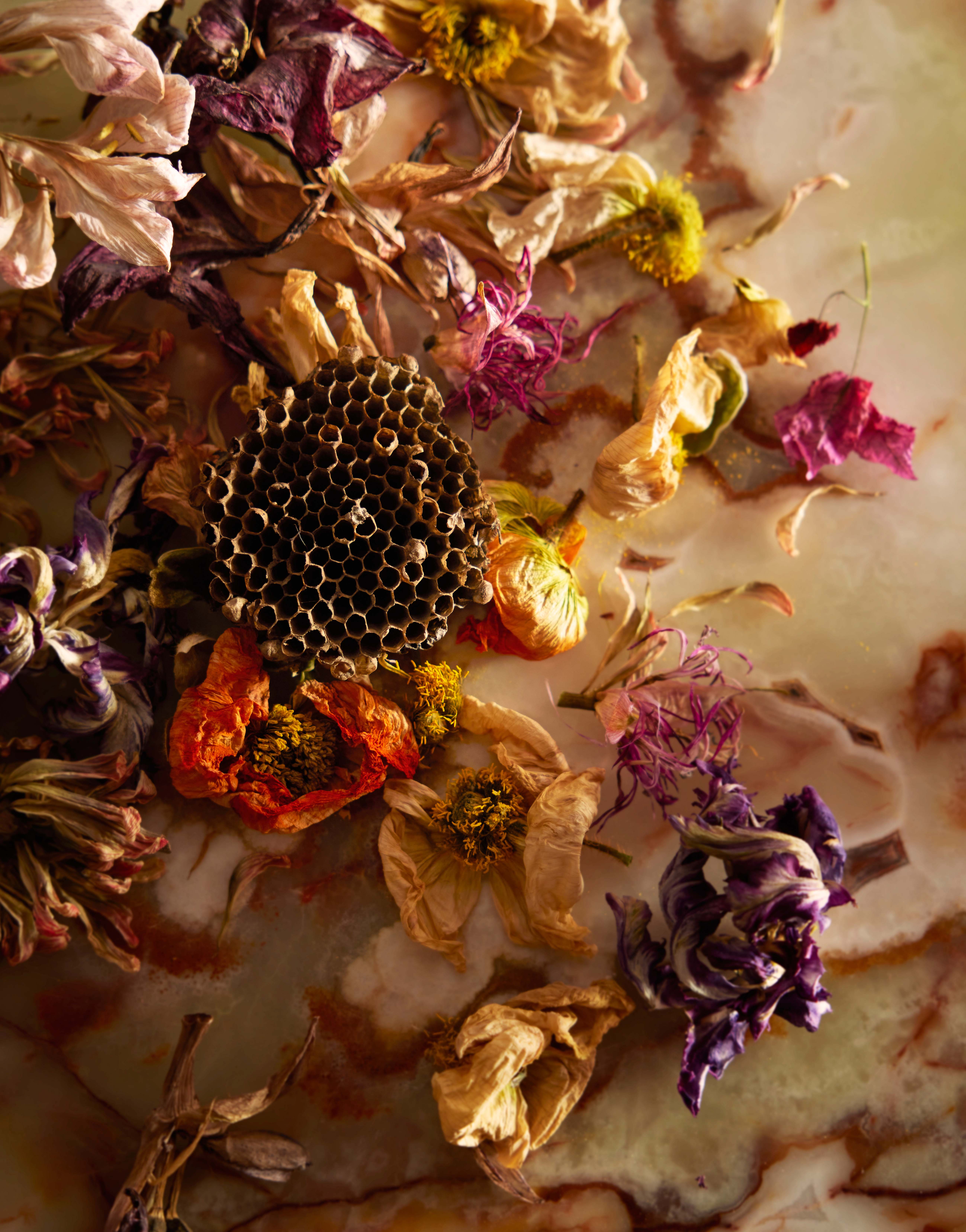 This Toronto-based photographer brings conceptual ideas to life through polished, creative photography, expertly crafted for commercial and advertising purposes