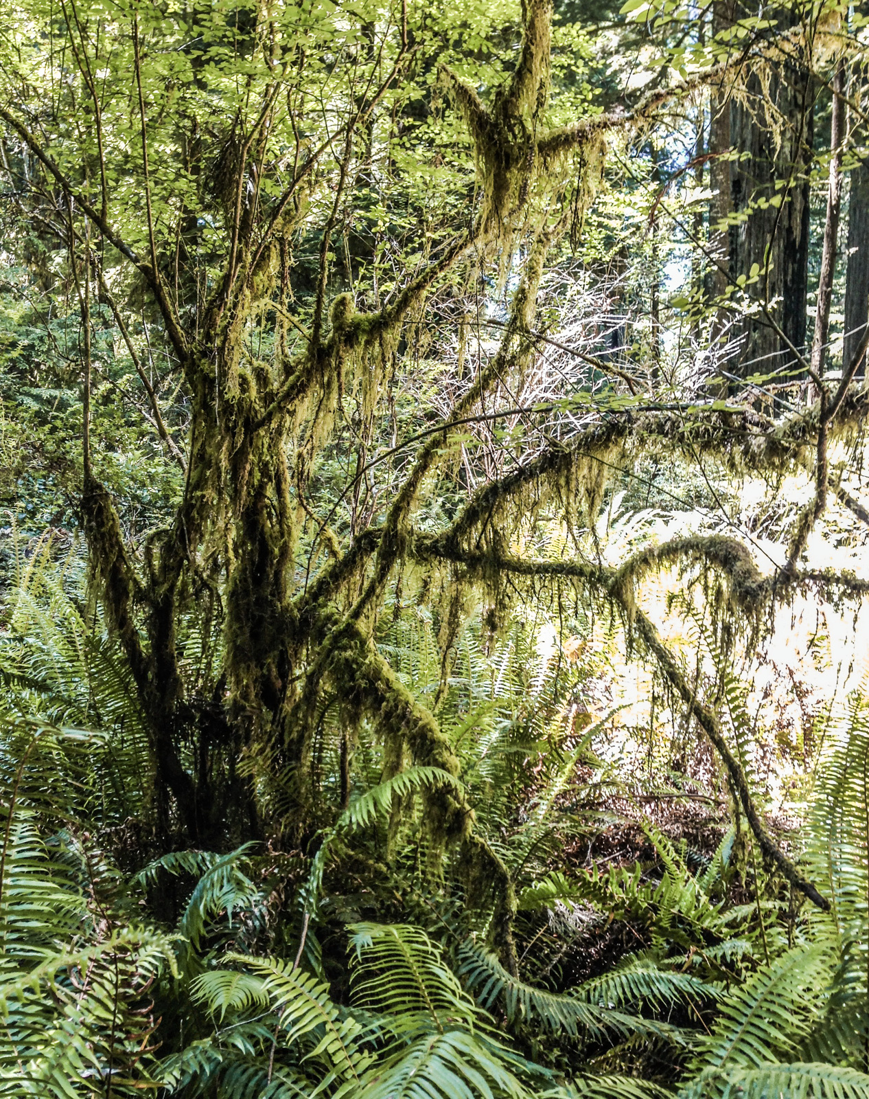 A breathtaking travel photograph capturing the beauty and essence of a destination, showcasing stunning landscapes and vibrant cultures through the lens of an experienced photographer
