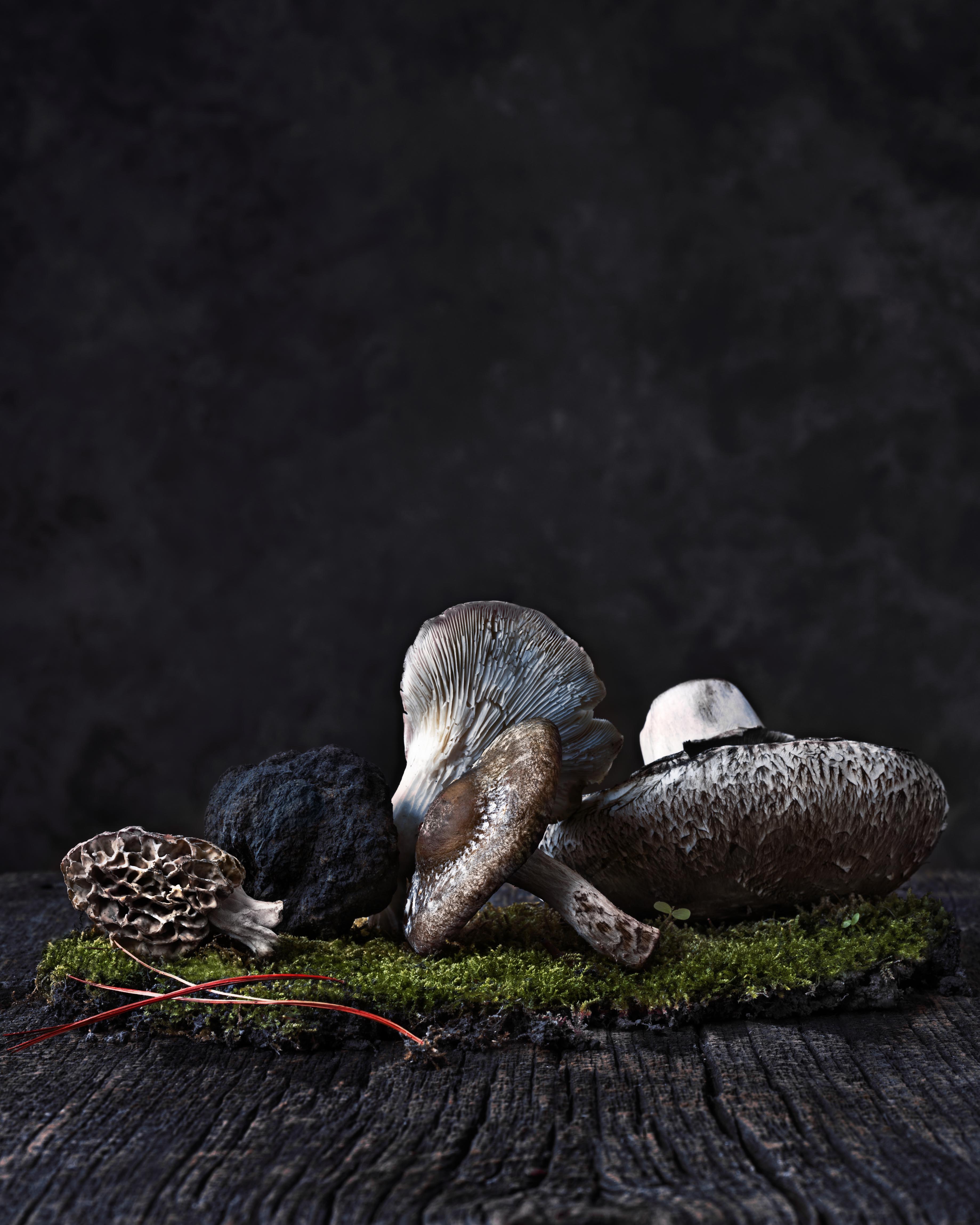 Dynamic and thought-provoking conceptual photography by a Toronto photographer, blending creative direction and polished styling to produce striking images for marketing and branding