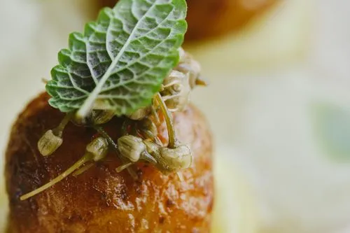 Food photography at its finest, expertly shot by a Toronto-based photographer and director, focusing on fresh ingredients and beautifully styled dishes to elevate your brand’s marketing