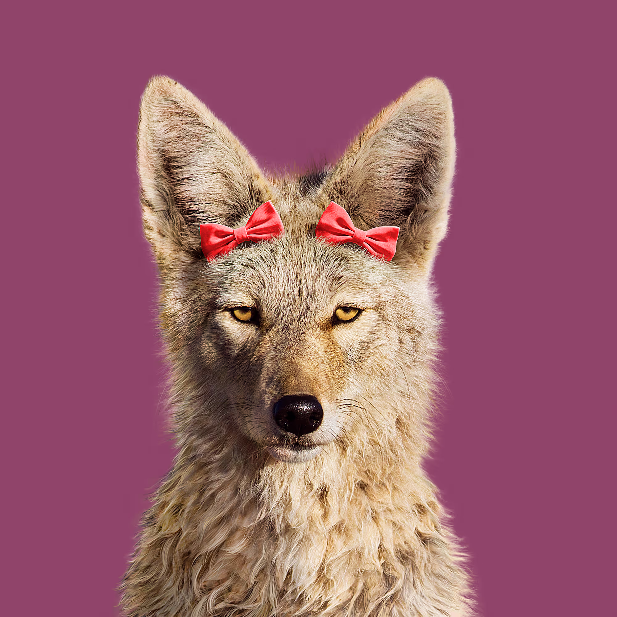 View exceptional CGI and animation work by a skilled Toronto artist, expertly created for commercial advertising to capture attention and drive meaningful brand messaging