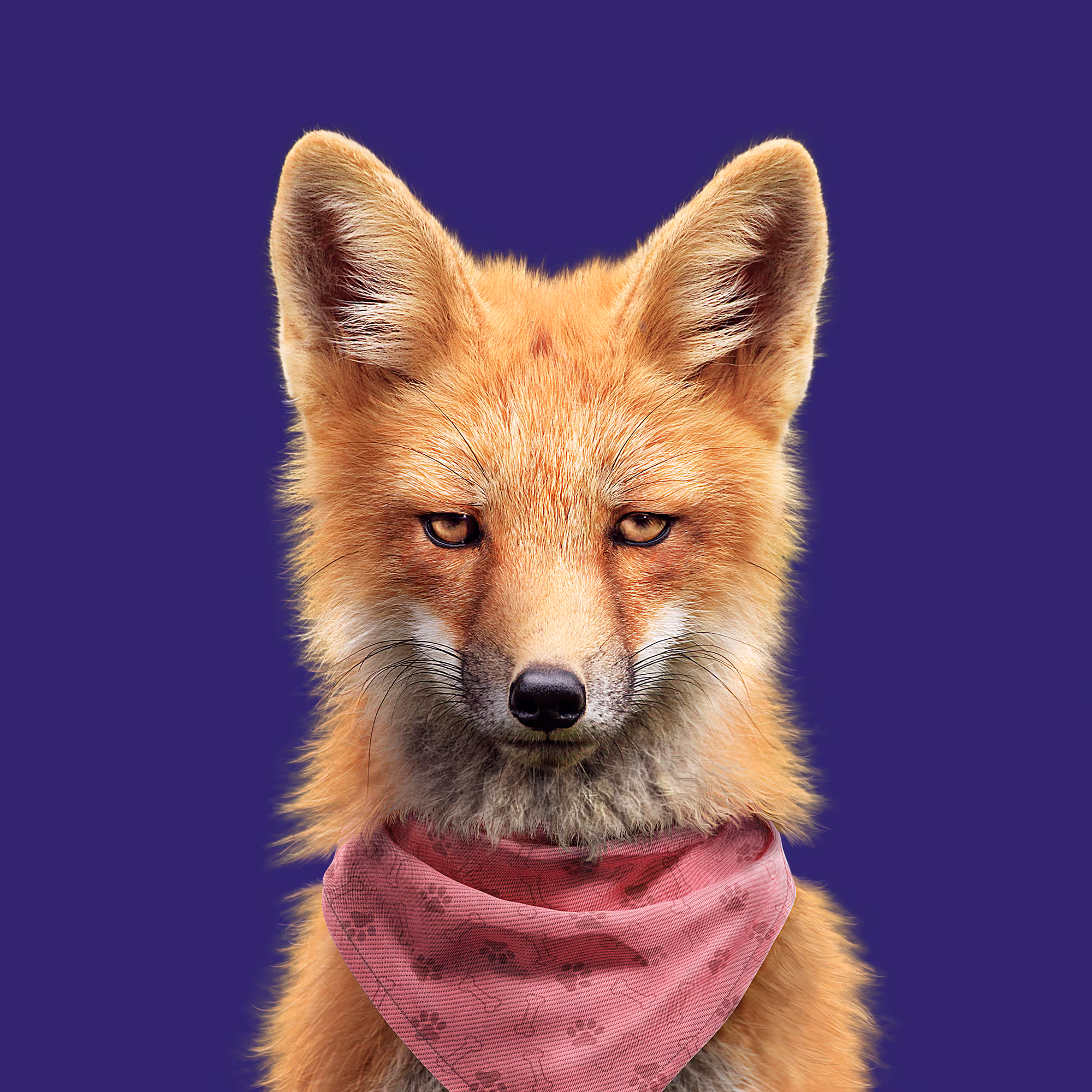 View exceptional CGI and animation work by a skilled Toronto artist, expertly created for commercial advertising to capture attention and drive meaningful brand messaging