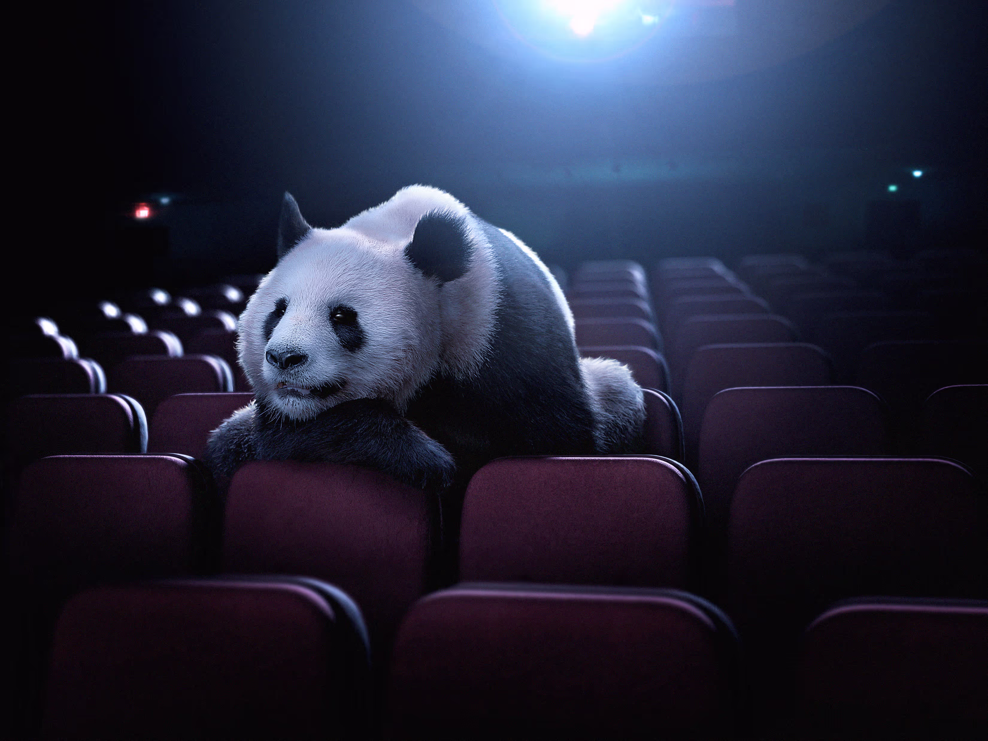 This CGI and animation work, crafted by an artist on the roster of a Toronto-based agency, brings cutting-edge visual content to commercial advertising, designed to captivate and engage audiences