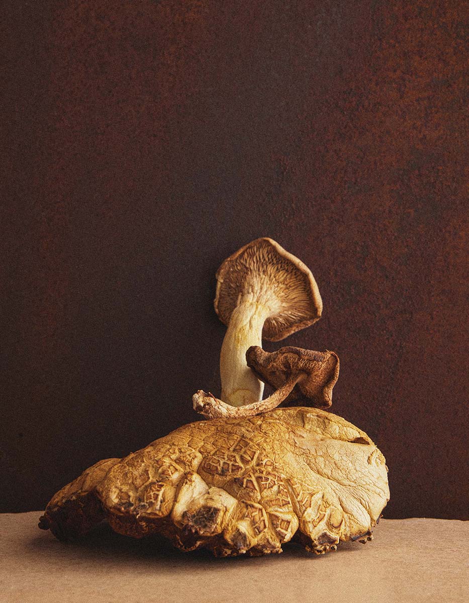 Creative still life photography by a Toronto-based photographer, using imaginative compositions and polished styling to bring abstract ideas and themes to life for commercial advertising