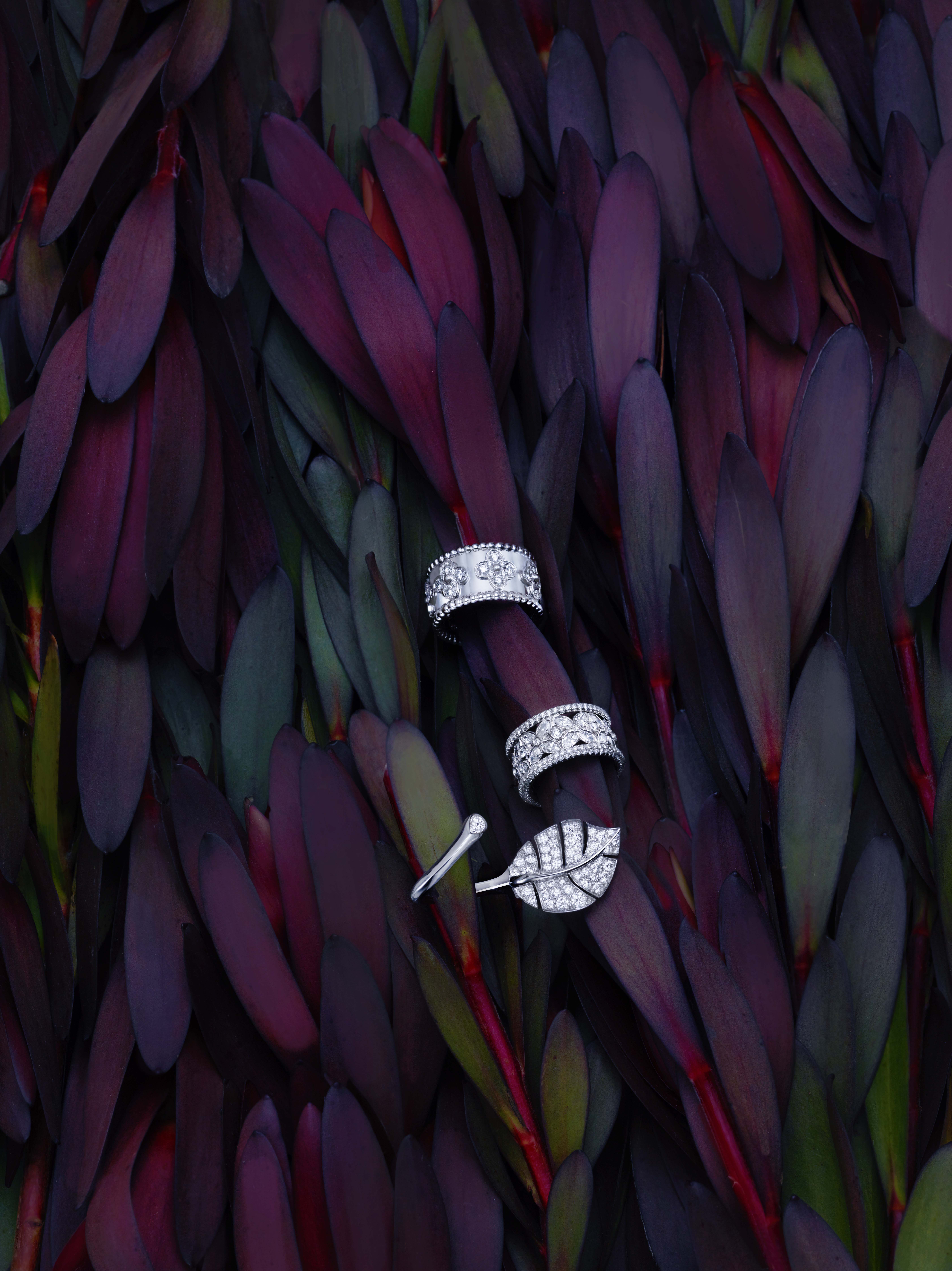 This Toronto-based photographer brings conceptual ideas to life through polished, jewelry photography, expertly crafted for commercial and advertising purposes