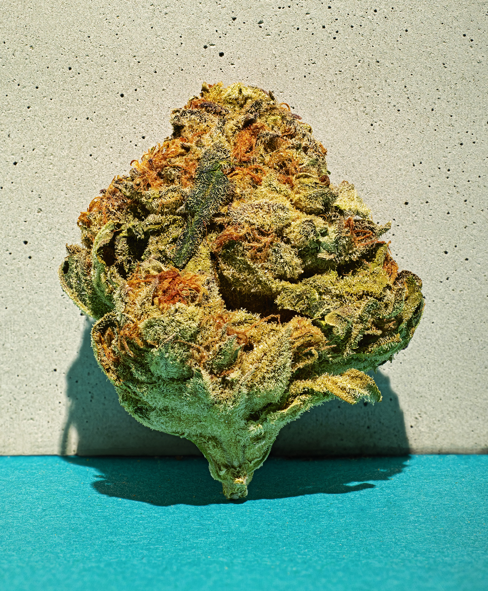 Creative and polished cannabis photography, captured by a Toronto photographer, designed to tell a compelling visual story with striking composition and imaginative styling