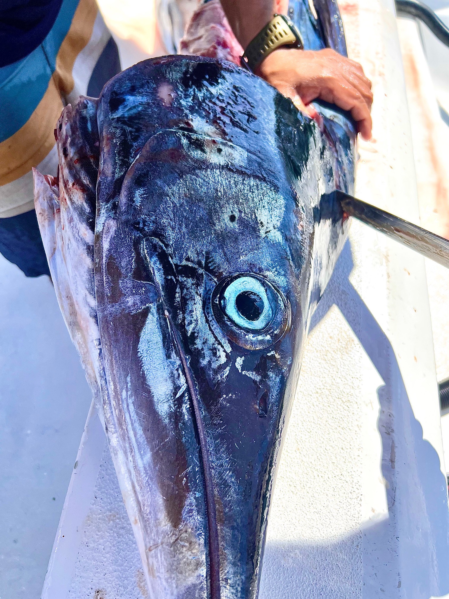 A breathtaking travel photograph capturing the beauty and essence of a destination, showcasing stunning landscapes and vibrant cultures through the lens of an experienced photographer