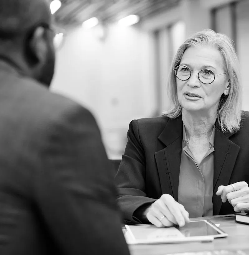 Domestic violence expert providing testimony and professional consultation