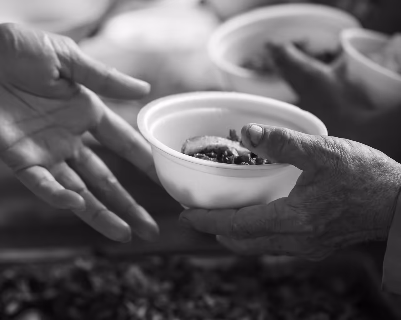 Safe shelter bed providing rest and refuge for domestic violence survivors