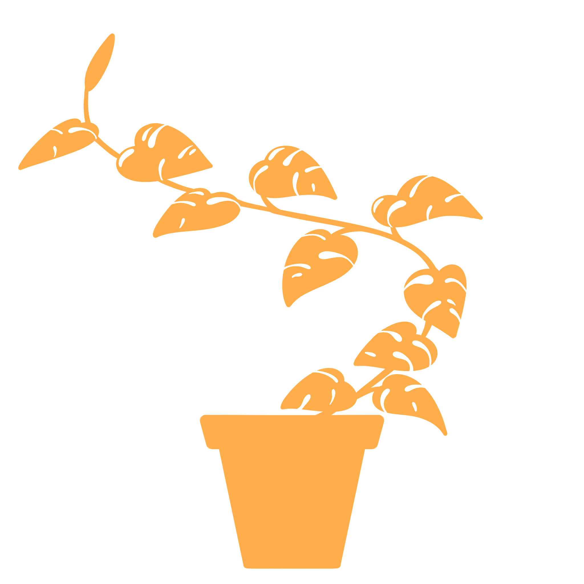 a hand-drawn graphic of a pothos