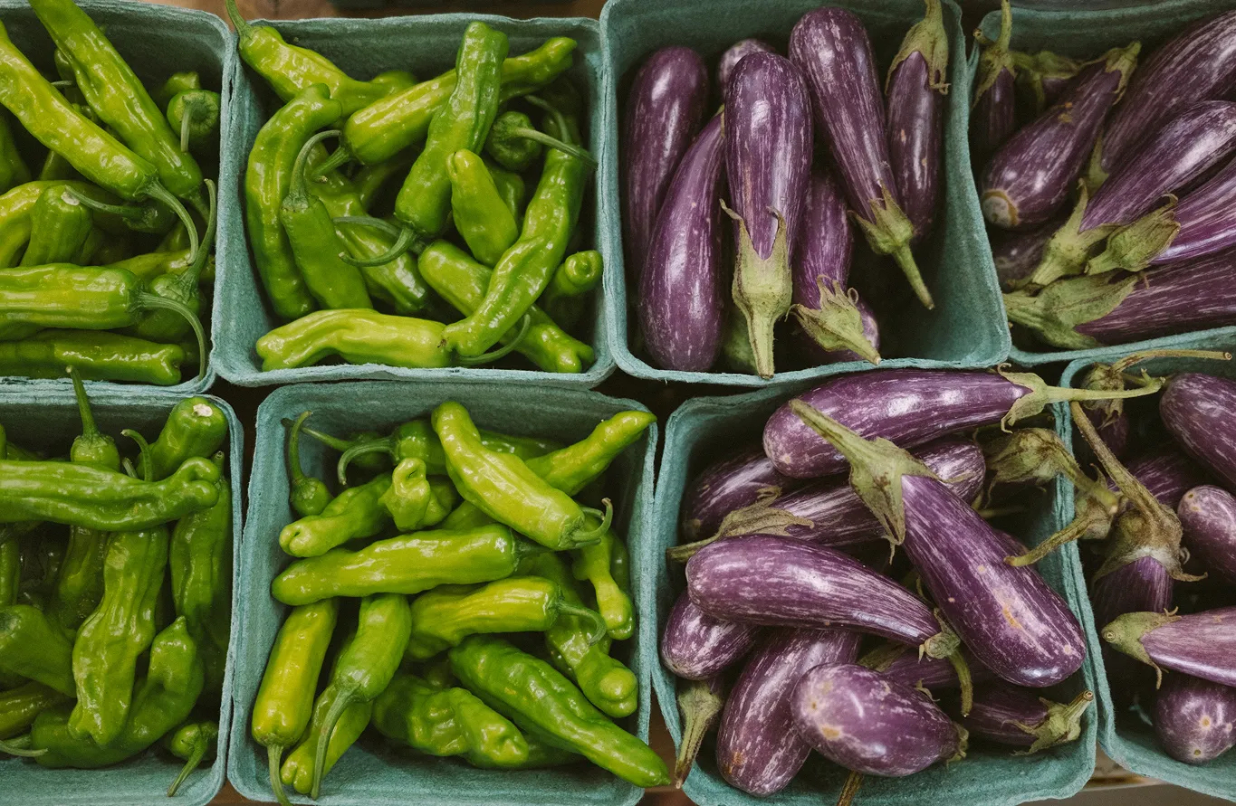 Green chili peppers and small purple eggplants in green containers at a market.