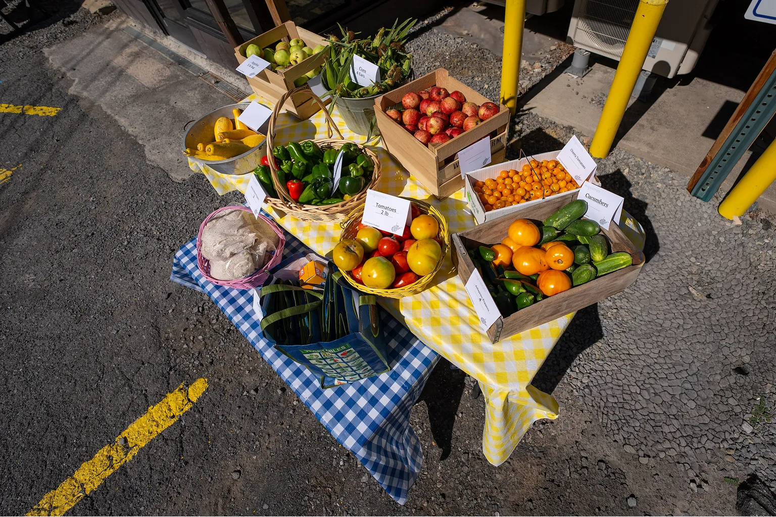 Market stall with baskets and crates of fresh vegetables and fruits including apples, yellow tomatoes, peppers, cucumbers, corn, and squash on checkered tablecloths outdoors.