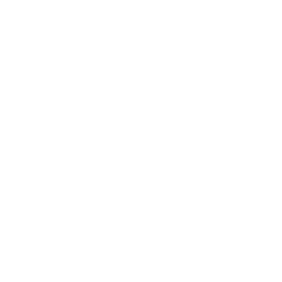 Iron Force Fitness