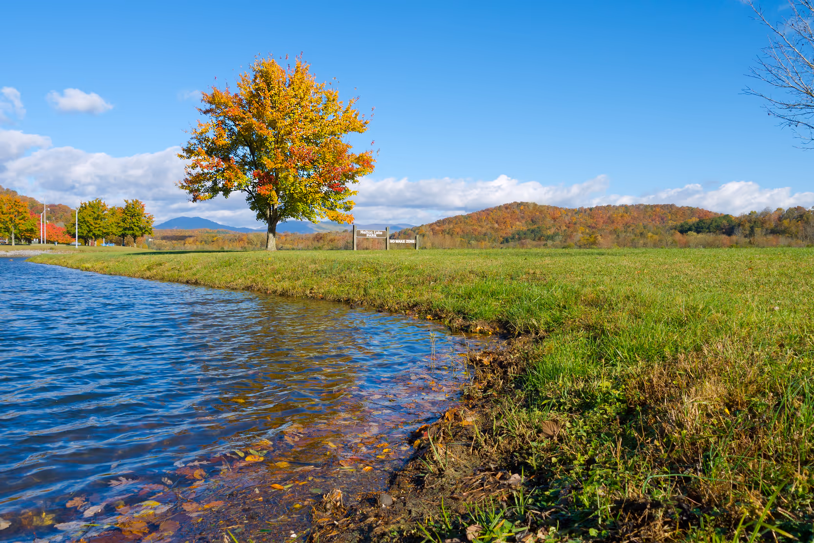 image of healthcare training session
