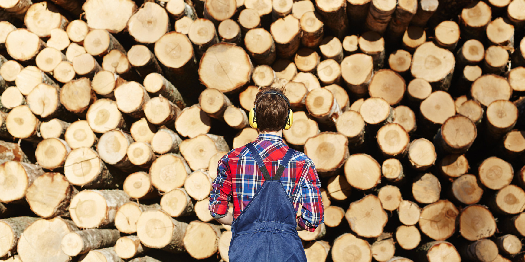 Person mit Schutzausrüstung und kariertem Hemd steht vor einem Stapel geschnittener Baumstämme.