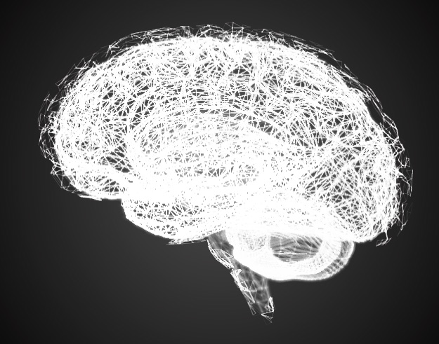 Abstract digital wireframe representation of a human brain in white on a dark background.