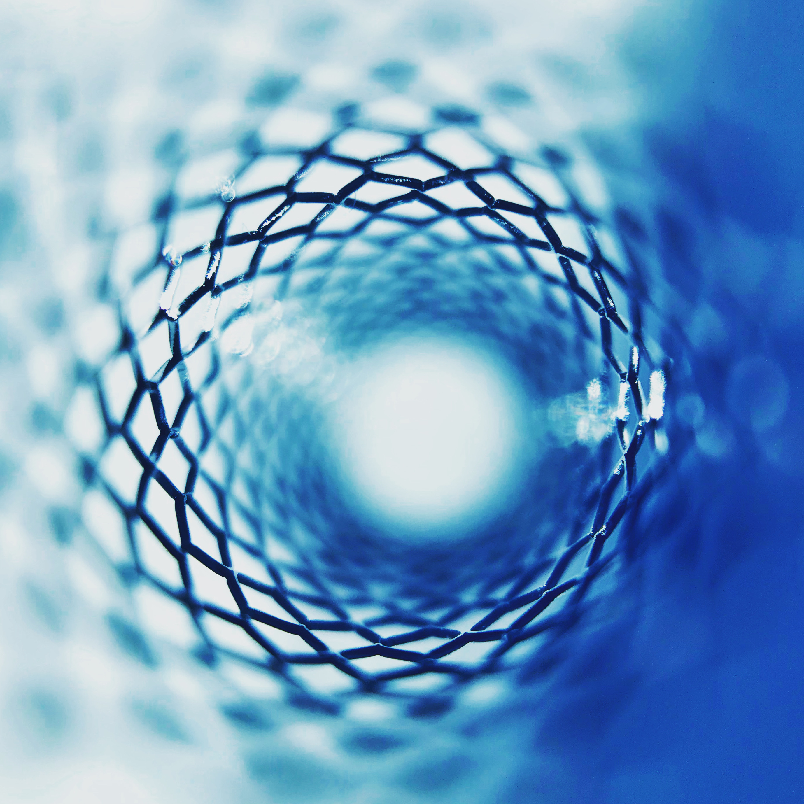 Close-up view through a blue cylindrical wire mesh tunnel with a bright light at the end.