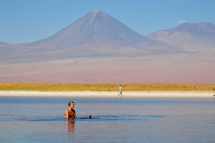 image of food truck in action