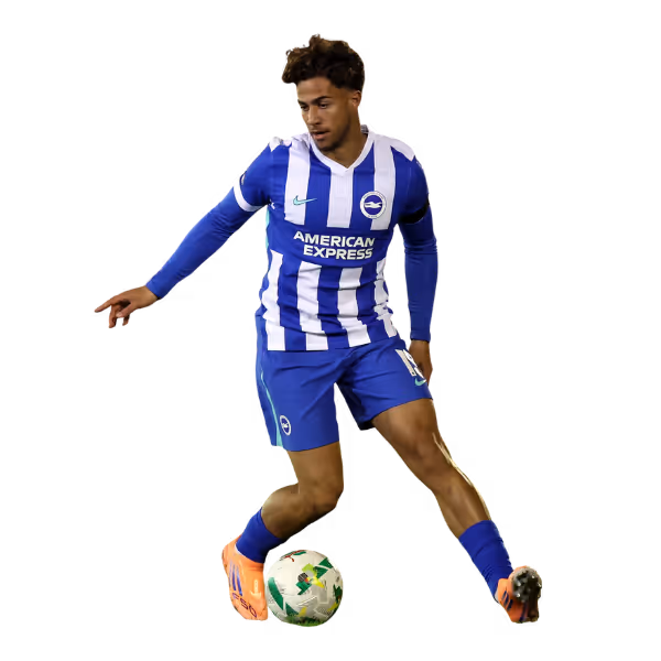 Soccer player in blue and white striped Brighton & Hove Albion kit controlling a football.