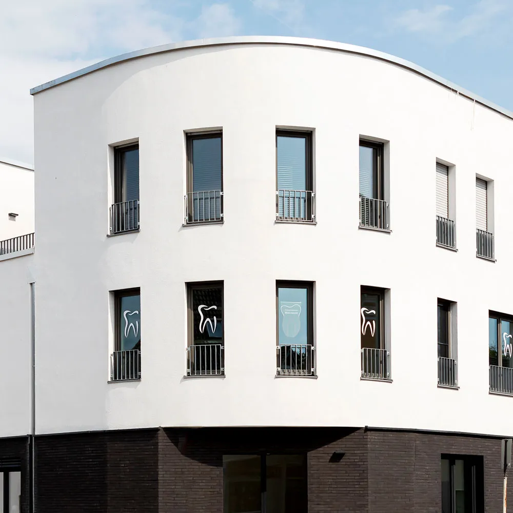 Decorative, visually interesting excerpt of the project.