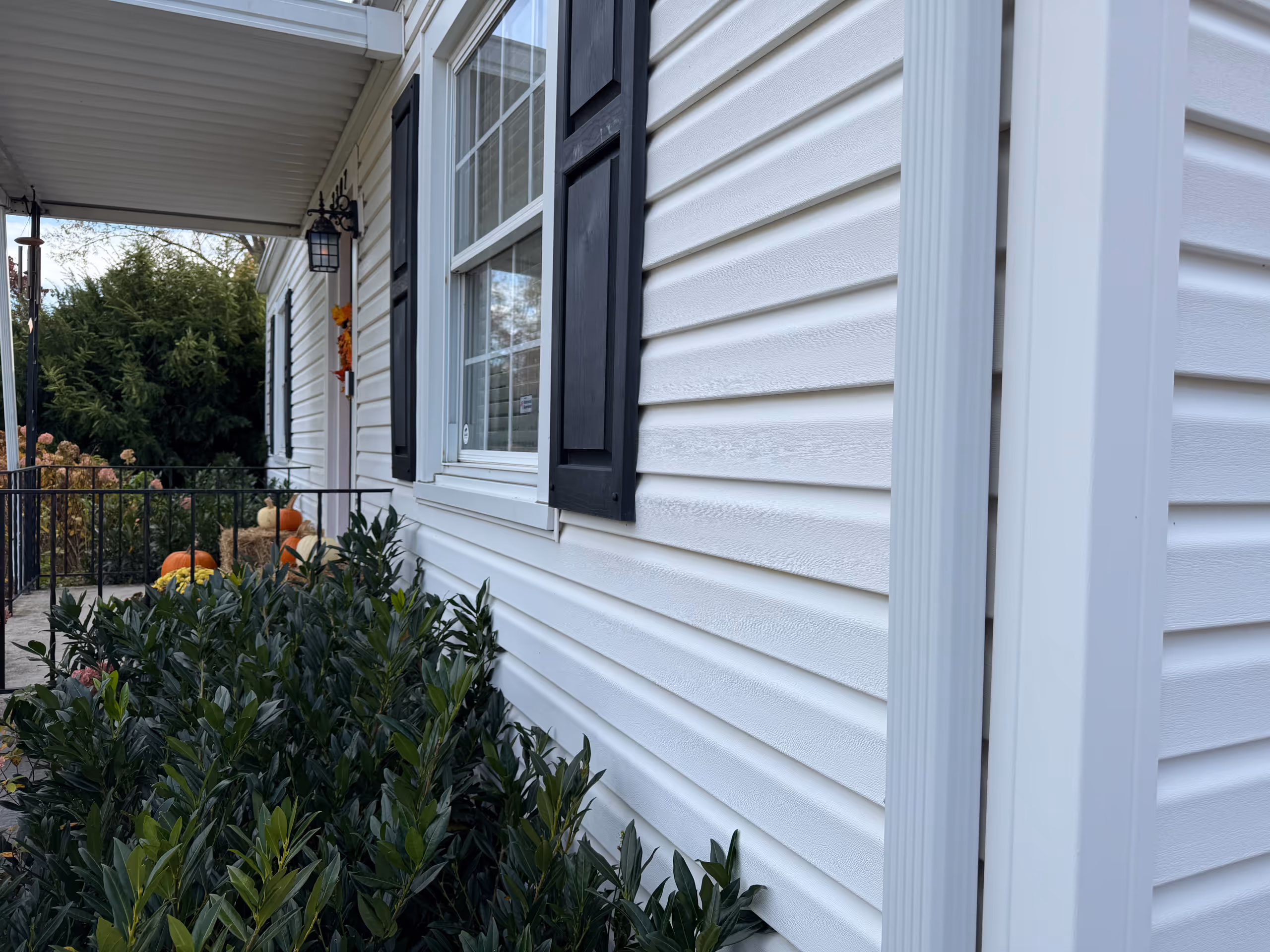 White house exterior with black window shutters, green shrubs in front
