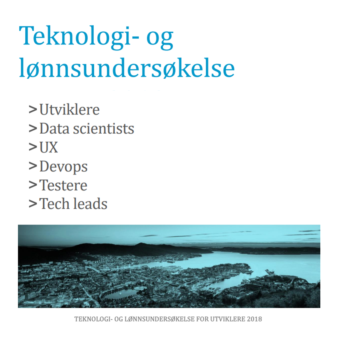 Teknologi og lønnsundersøkelsen