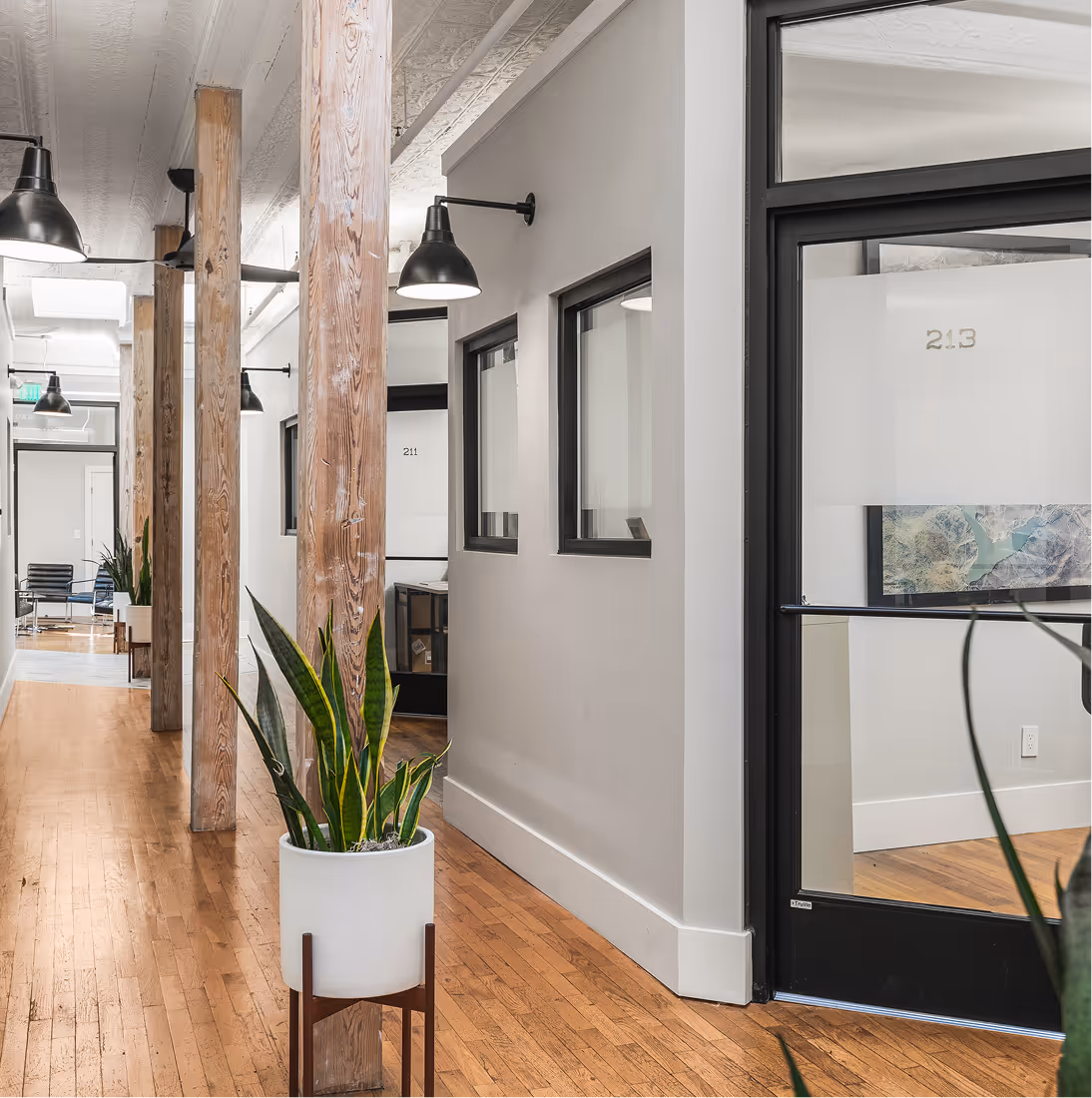The hallway between private office spaces in 106 Public Square with a plant and wooden floors.
