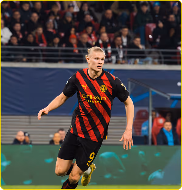 Erling Haaland - Professional Football Player