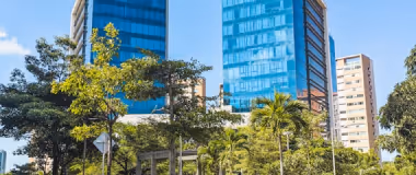 Edificios altos con fachadas de vidrio azul reflejando el cielo, rodeados de árboles y vegetación bajo un cielo despejado.