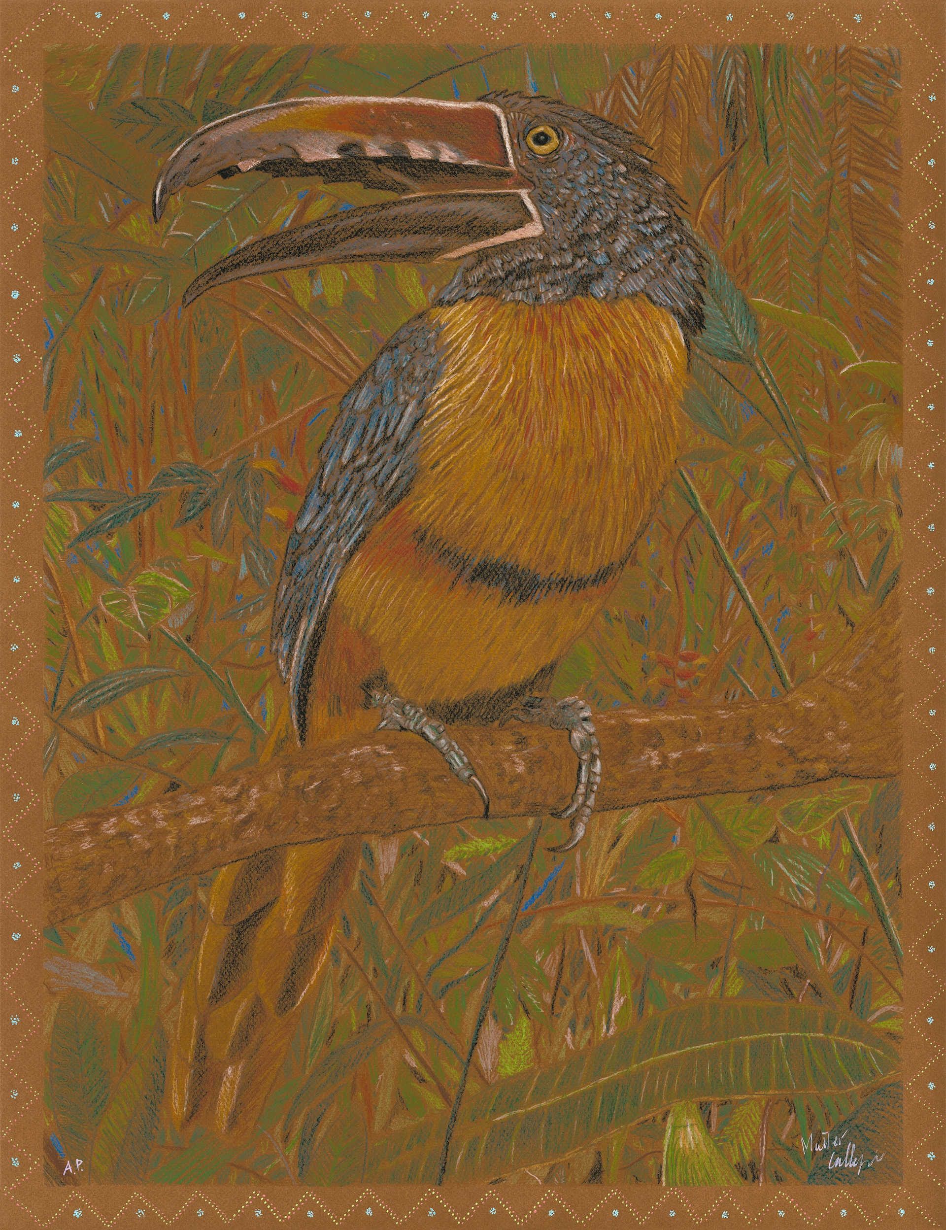 Light for the Amazon