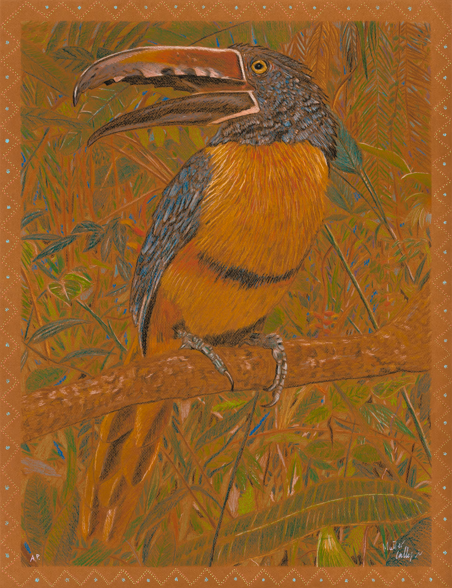 Light for the Amazon