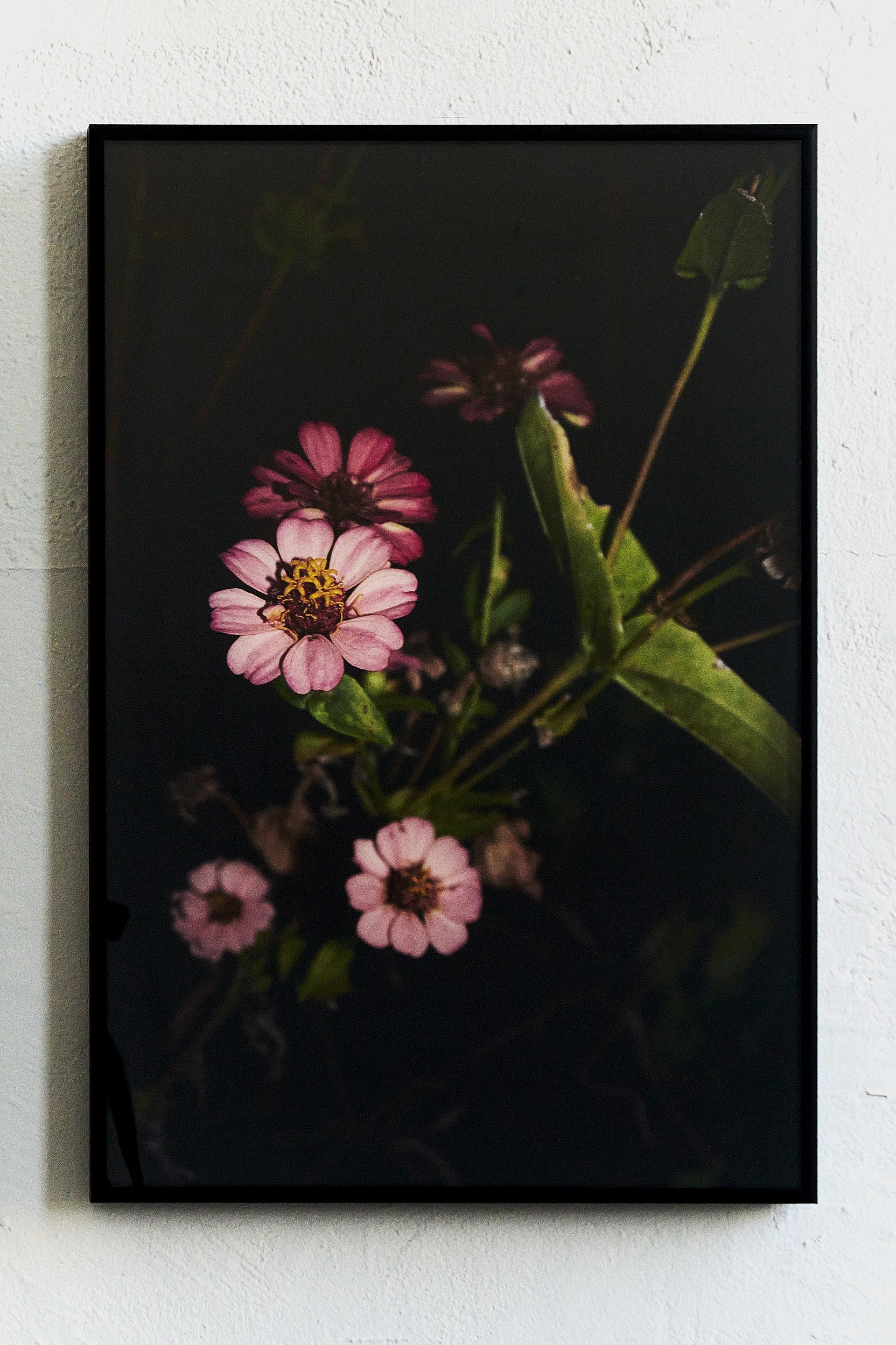 Marisa Newman Projects