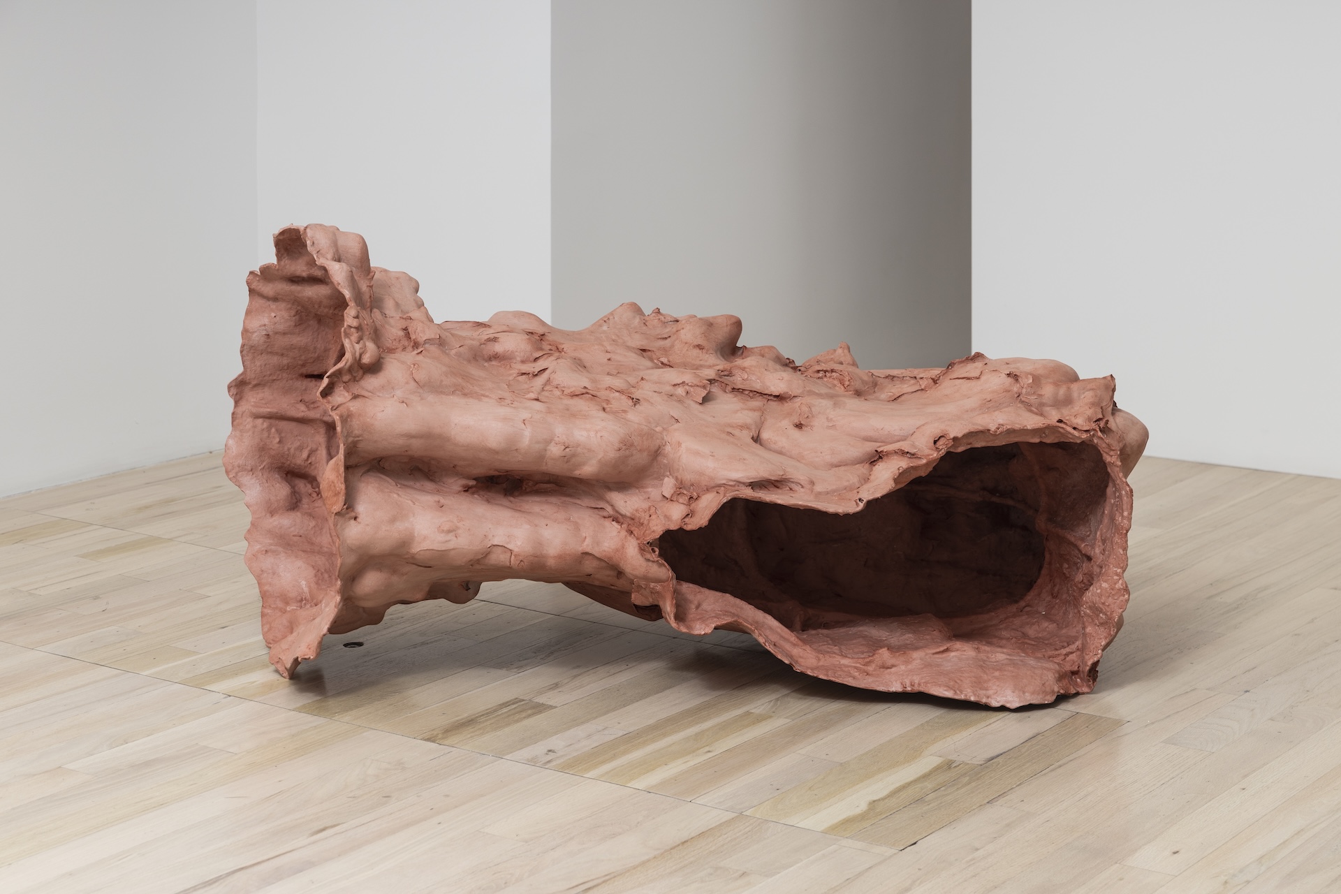 Juliana Cerqueira Leite represented by PROXYCO